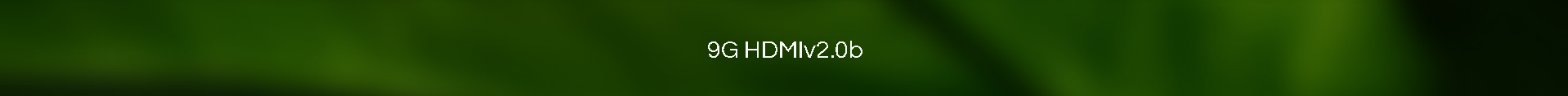 9G_HDMI20